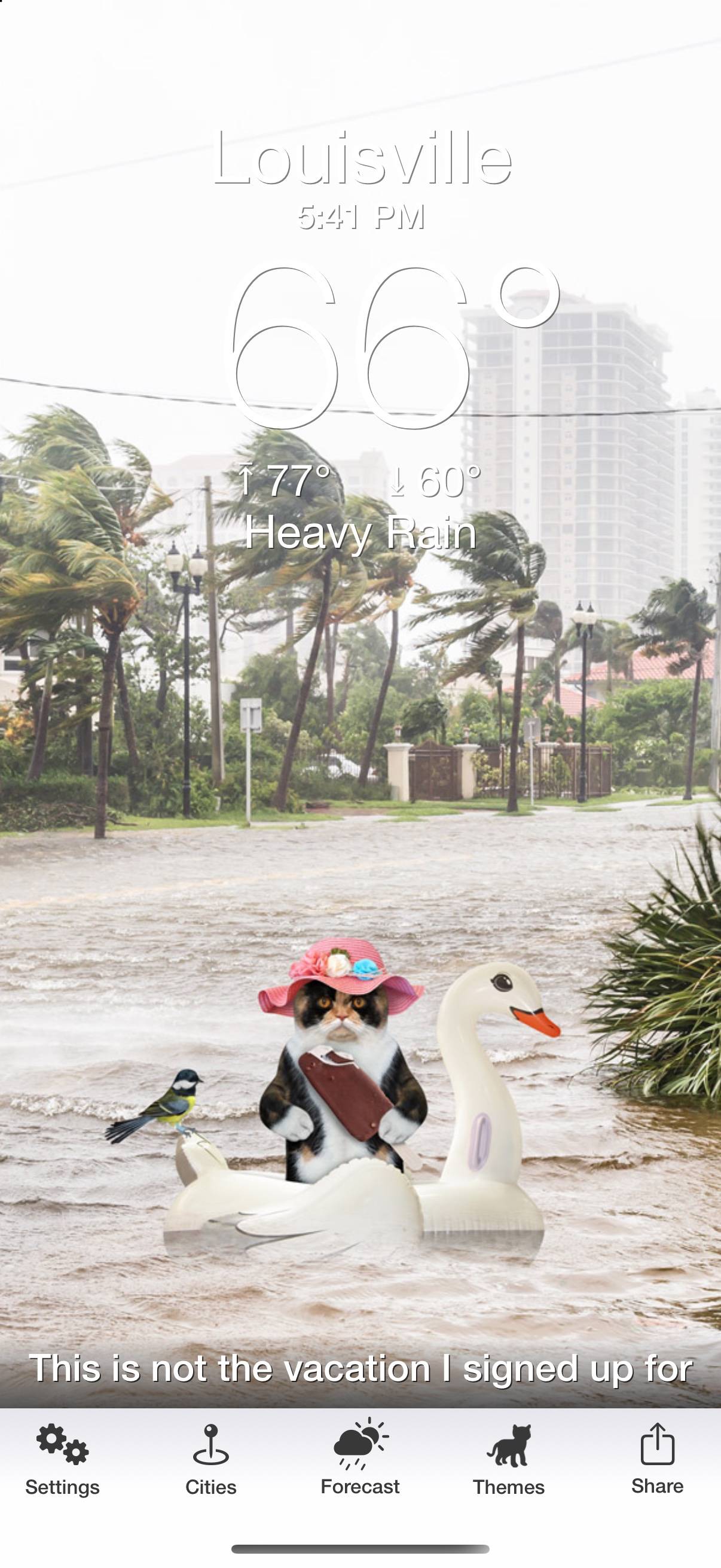 Weather Puppy: The Daily Meow