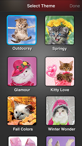 Weather Kitty Screenshot 5